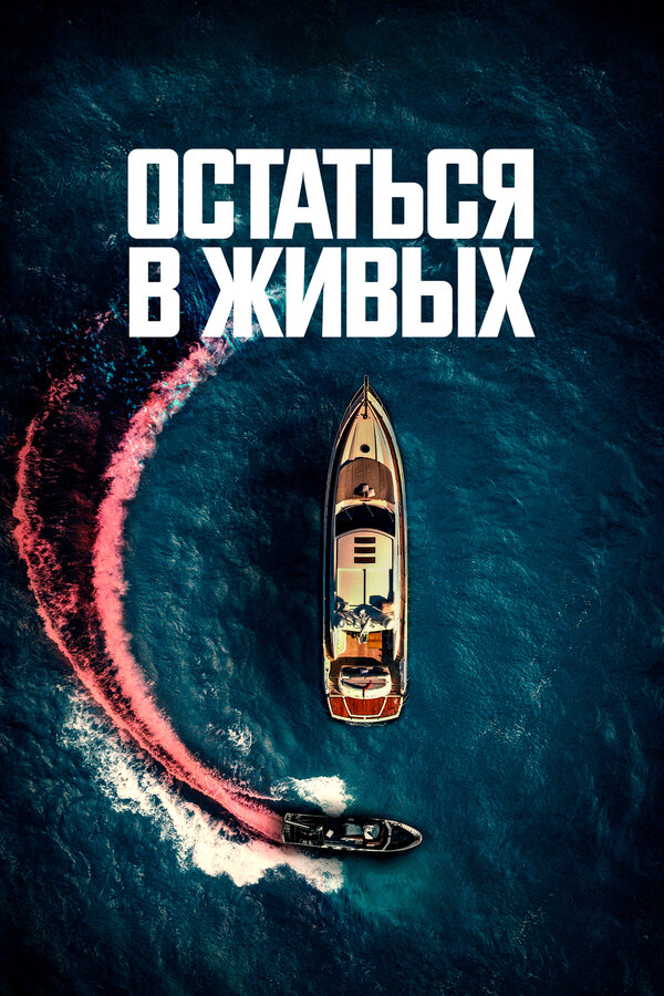 Остаться в живых - постер фильма